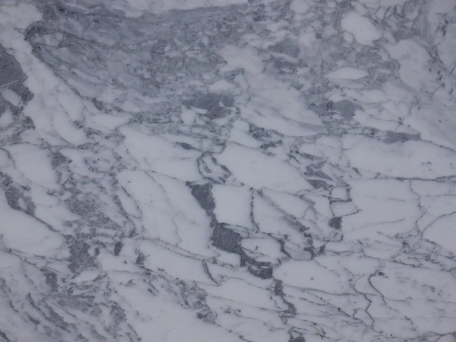Calacatta Cremo Marble Remnant in Sun Valley, Los Angeles