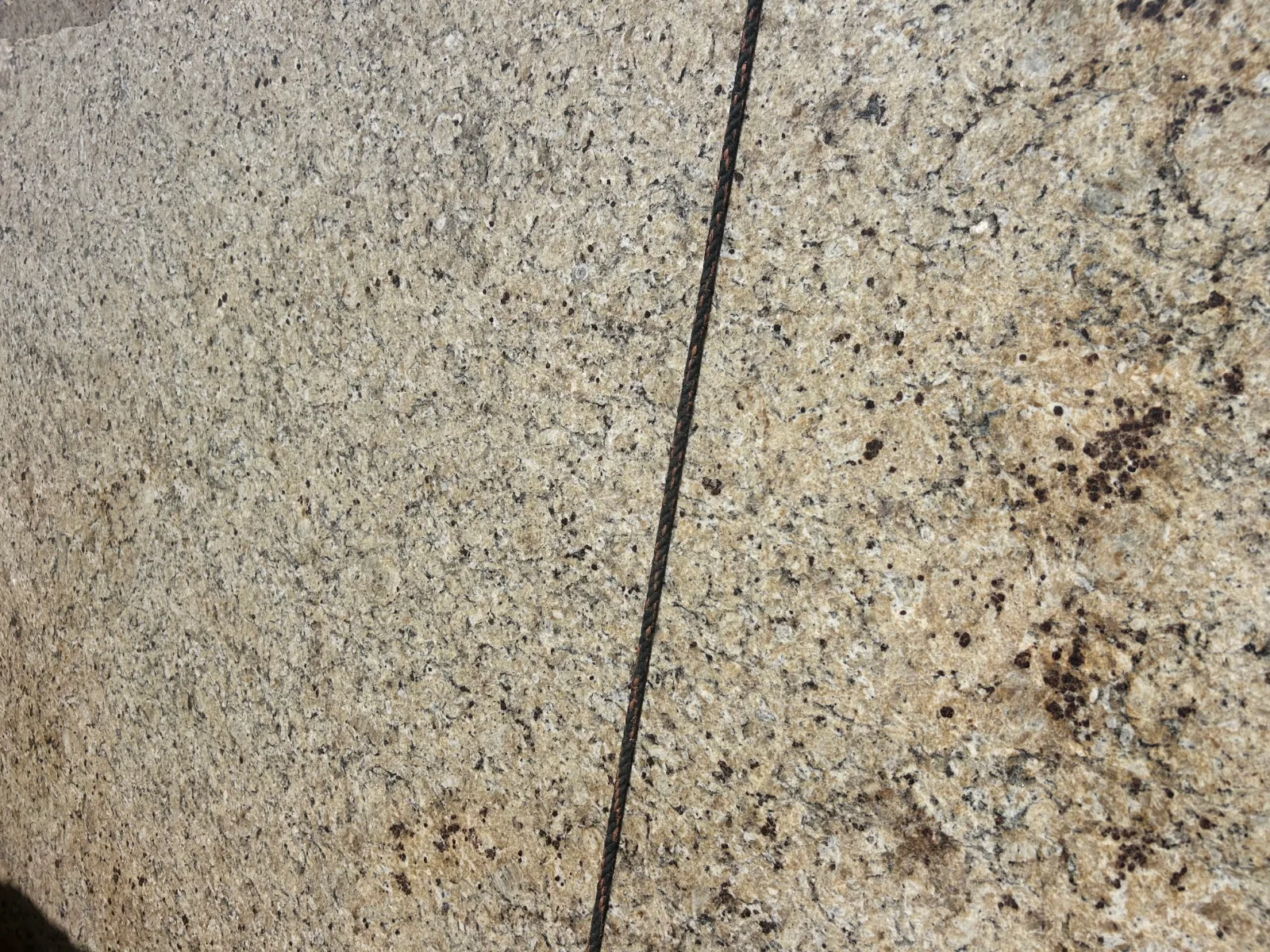 New Venetian Gold Granite Slab in North Hollywood, Los Angeles