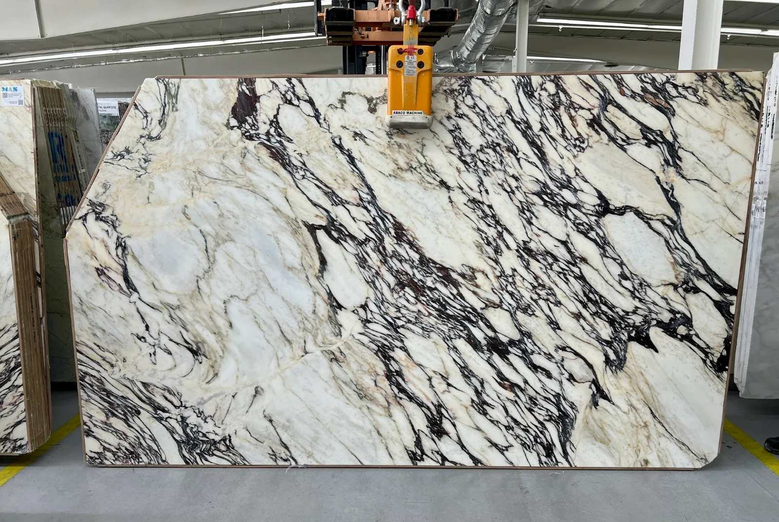 Calacatta Viola Italia Marble Slab in Van Nuys, Los Angeles
