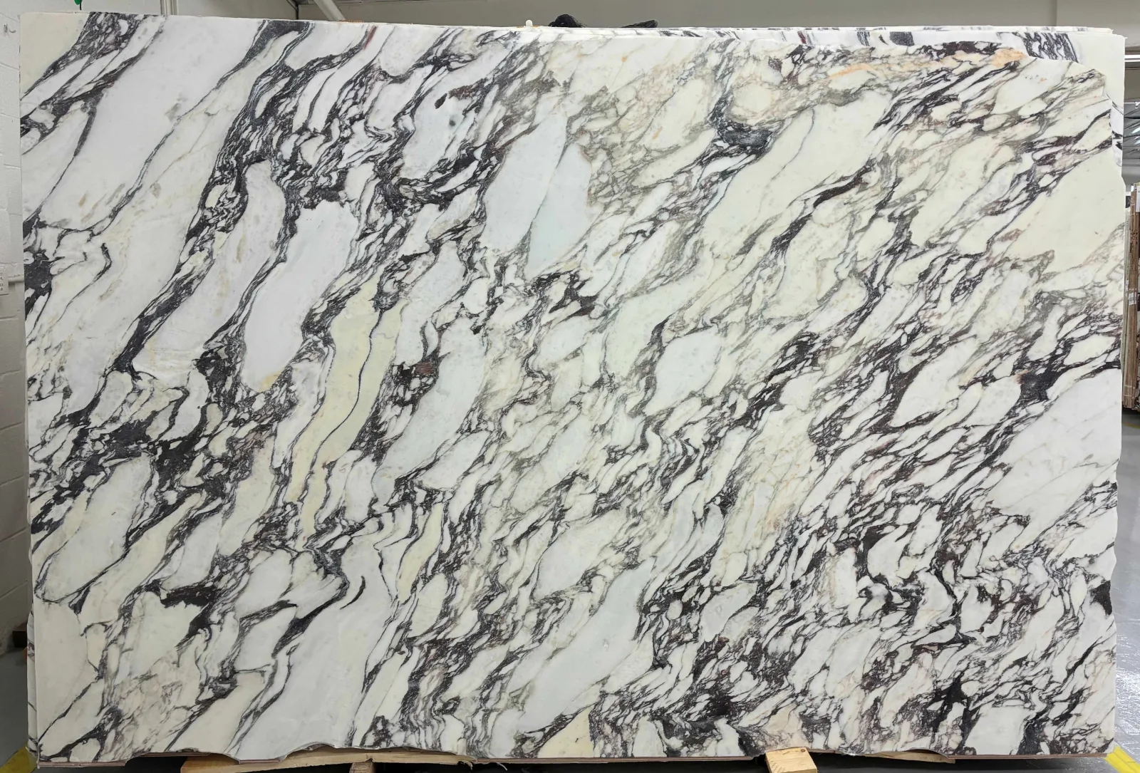 Calacatta Viola Marble Slab in Van Nuys, Los Angeles