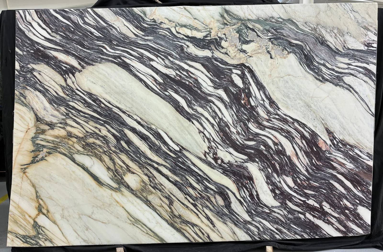 Calacatta Viola Fantastico Marble Slab in Van Nuys, Los Angeles