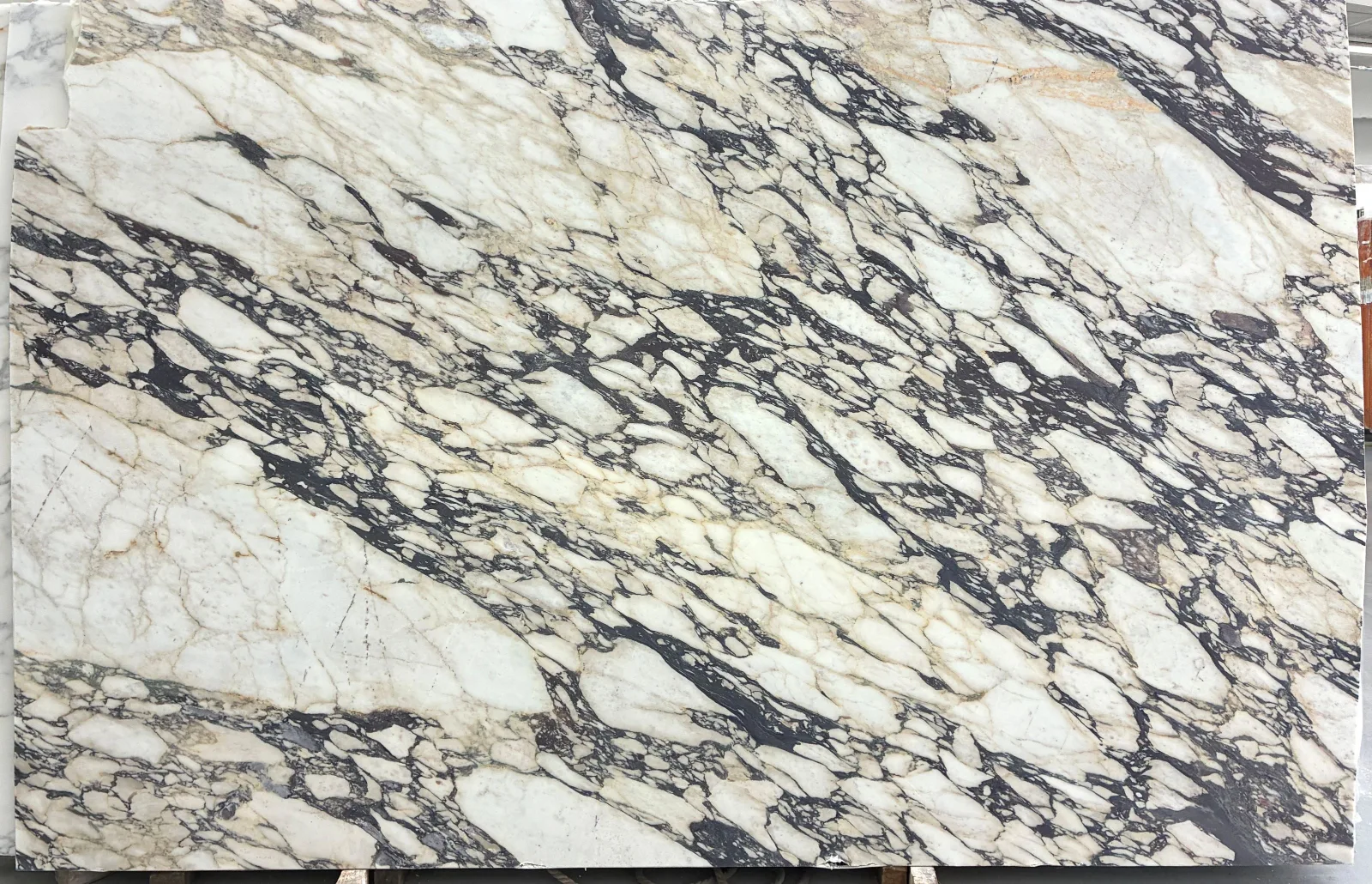 Calacatta Viola Grand Marble Slab in Van Nuys, Los Angeles