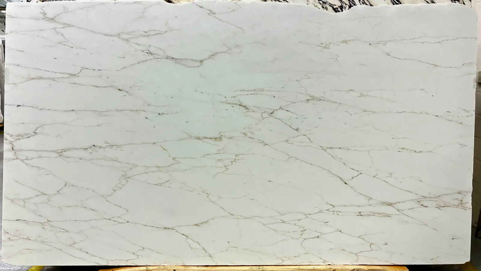 Calacatta Golden Lincoln Marble Slab in Van Nuys, Los Angeles