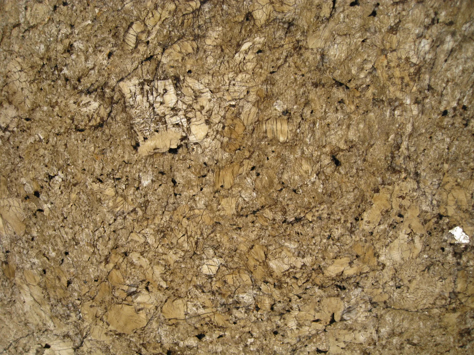 Minsk Gold Granite Slab Photo 2
