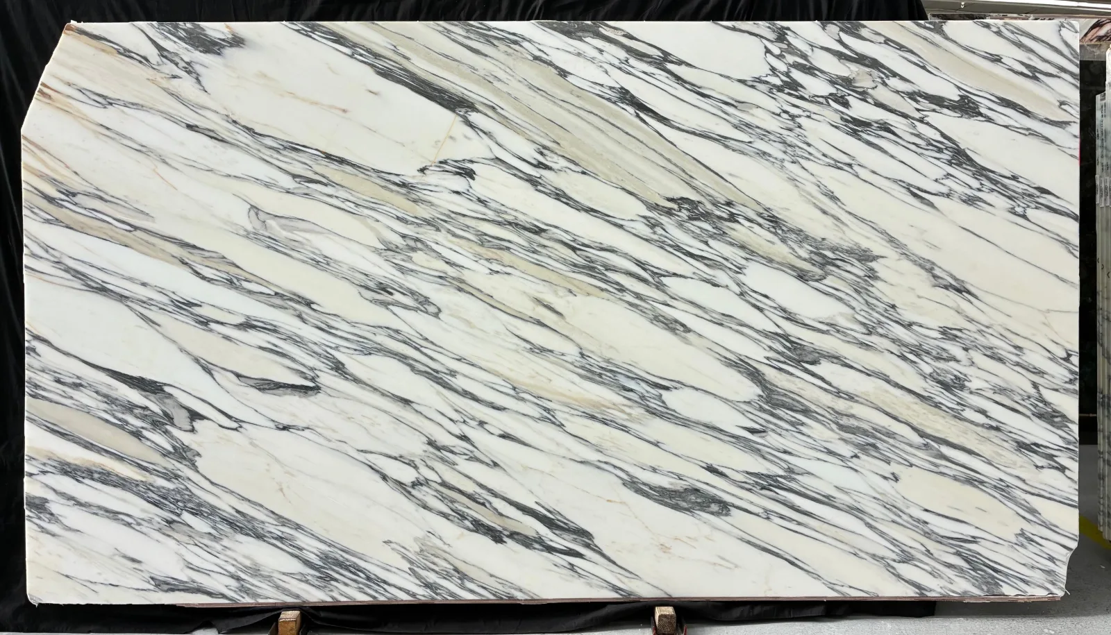 Arabescato Corchia Supreme Marble Slab in Van Nuys, Los Angeles
