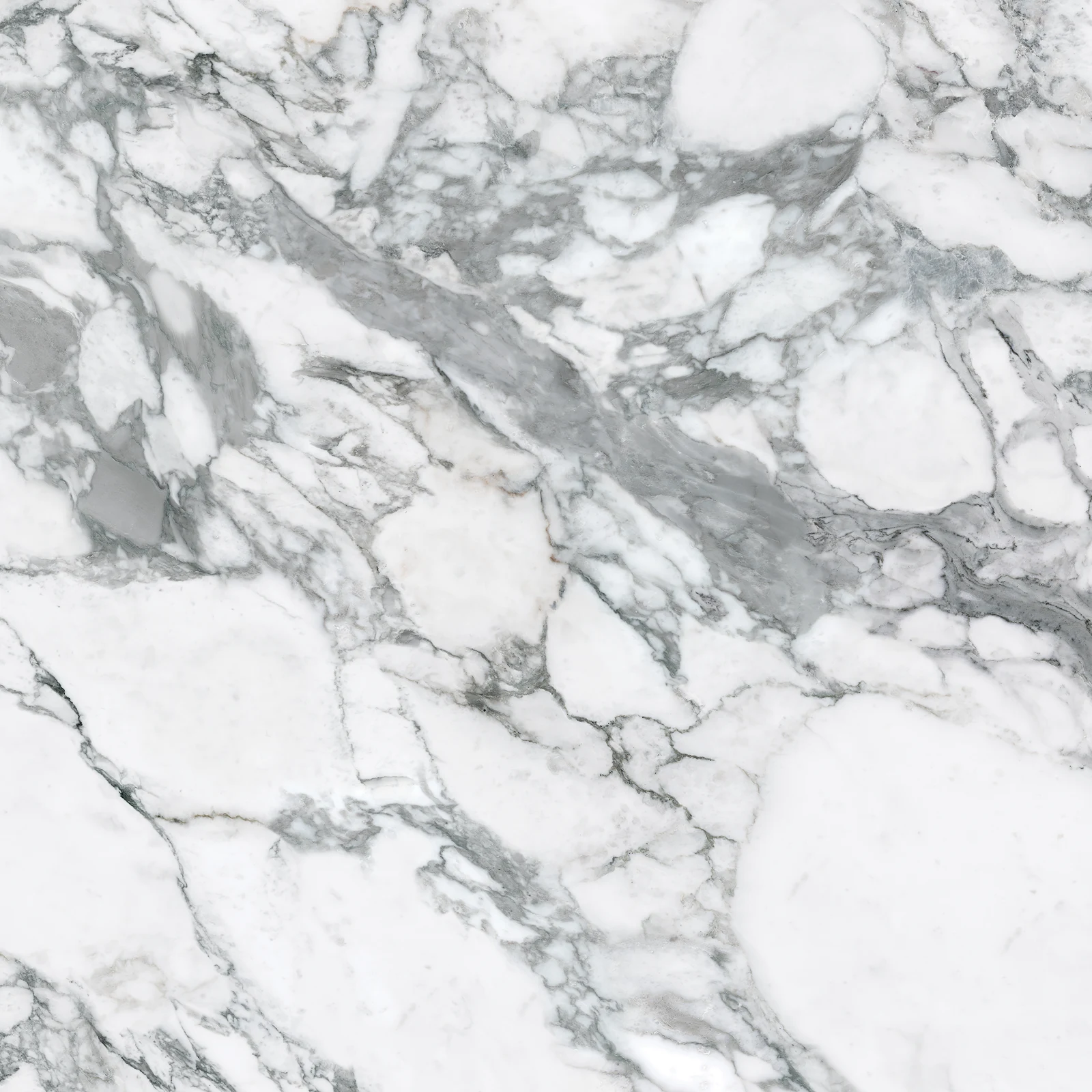 Arabescato Grey Porcelain Slab Photo 2