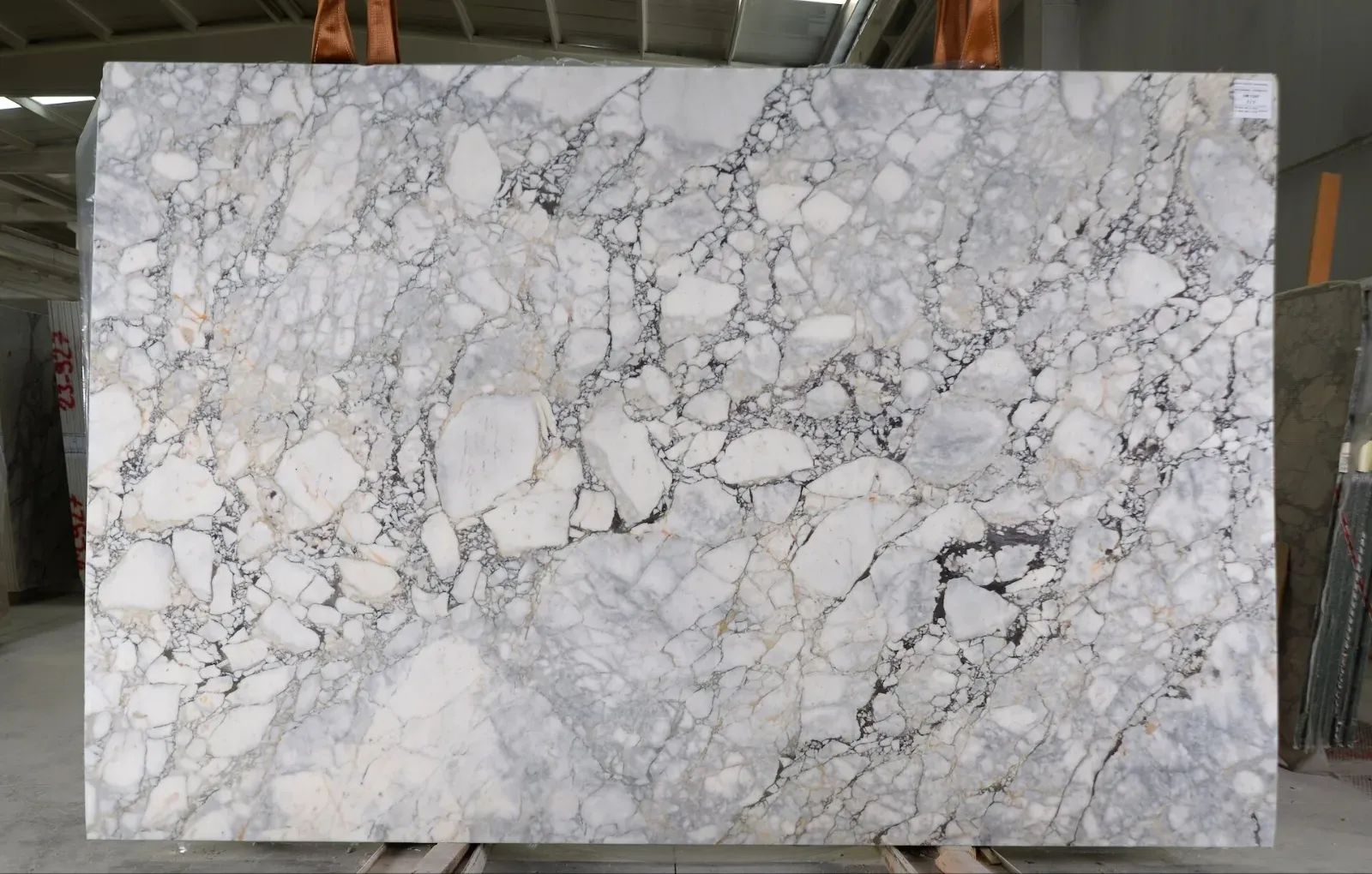 Calacatta Monet Viola Marble Slab in Los Angeles