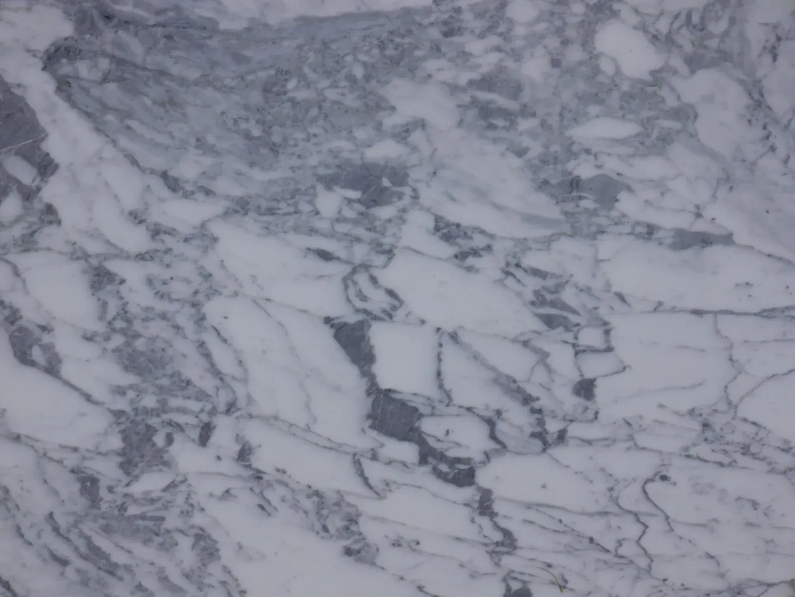 Calacatta Cremo Marble Remnant in Los Angeles