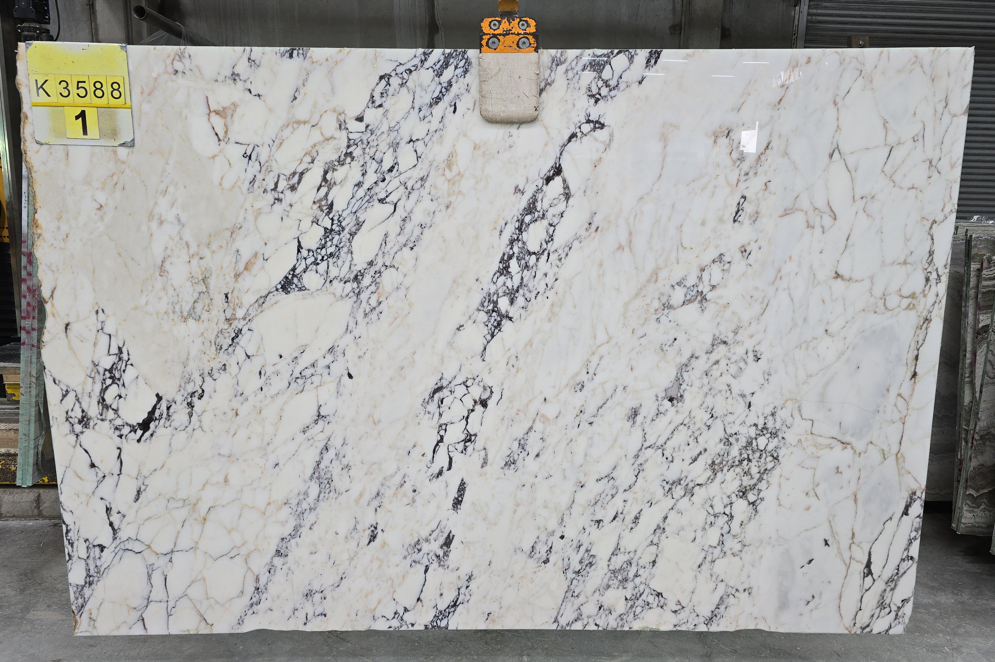 Calacatta Viola Marble Slab in Sun Valley, Los Angeles