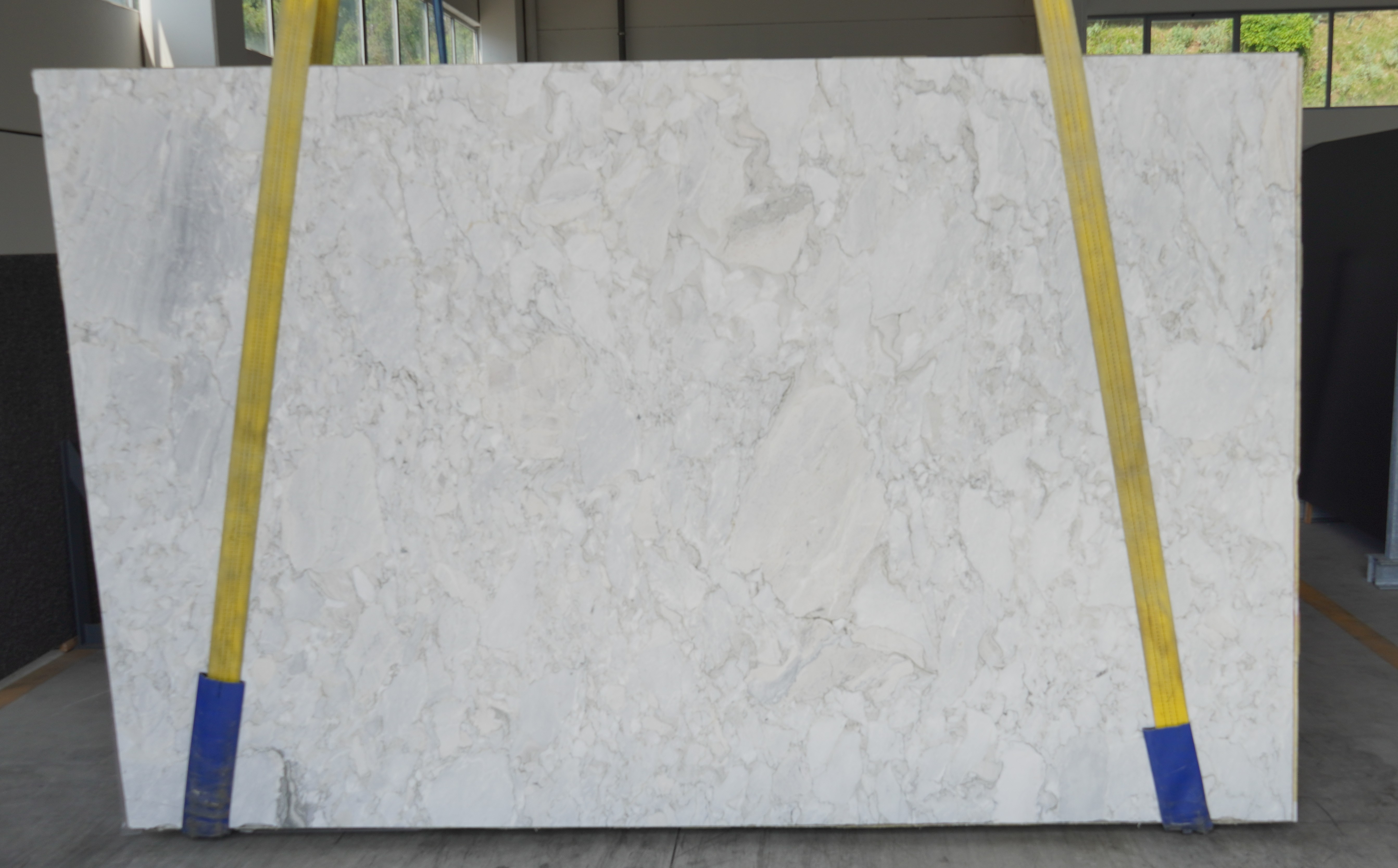 Arabescato Ceppo Vagli Light Marble Slab in Sun Valley, Los Angeles