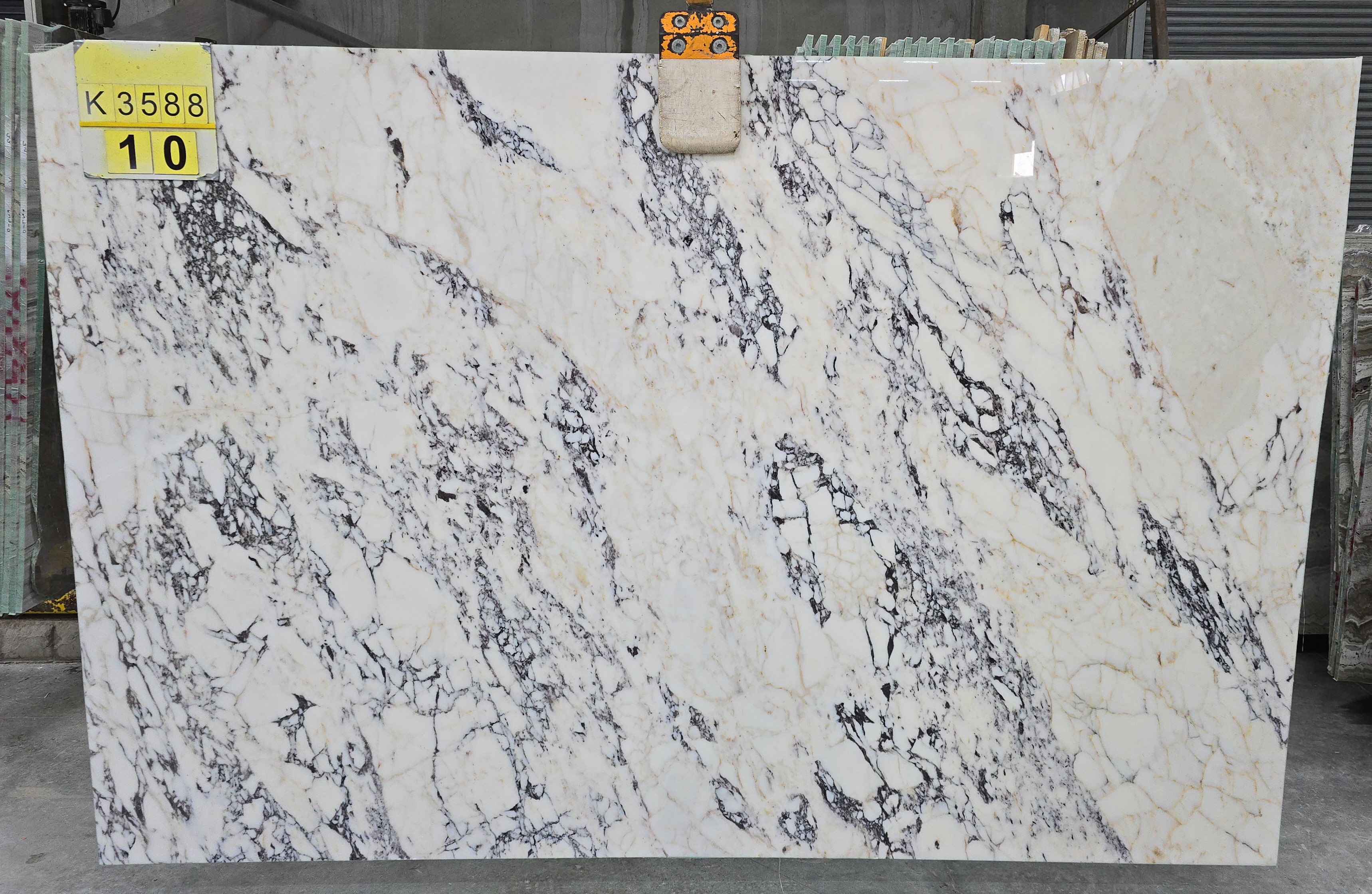 Calacatta Viola Marble Slab in Sun Valley, Los Angeles