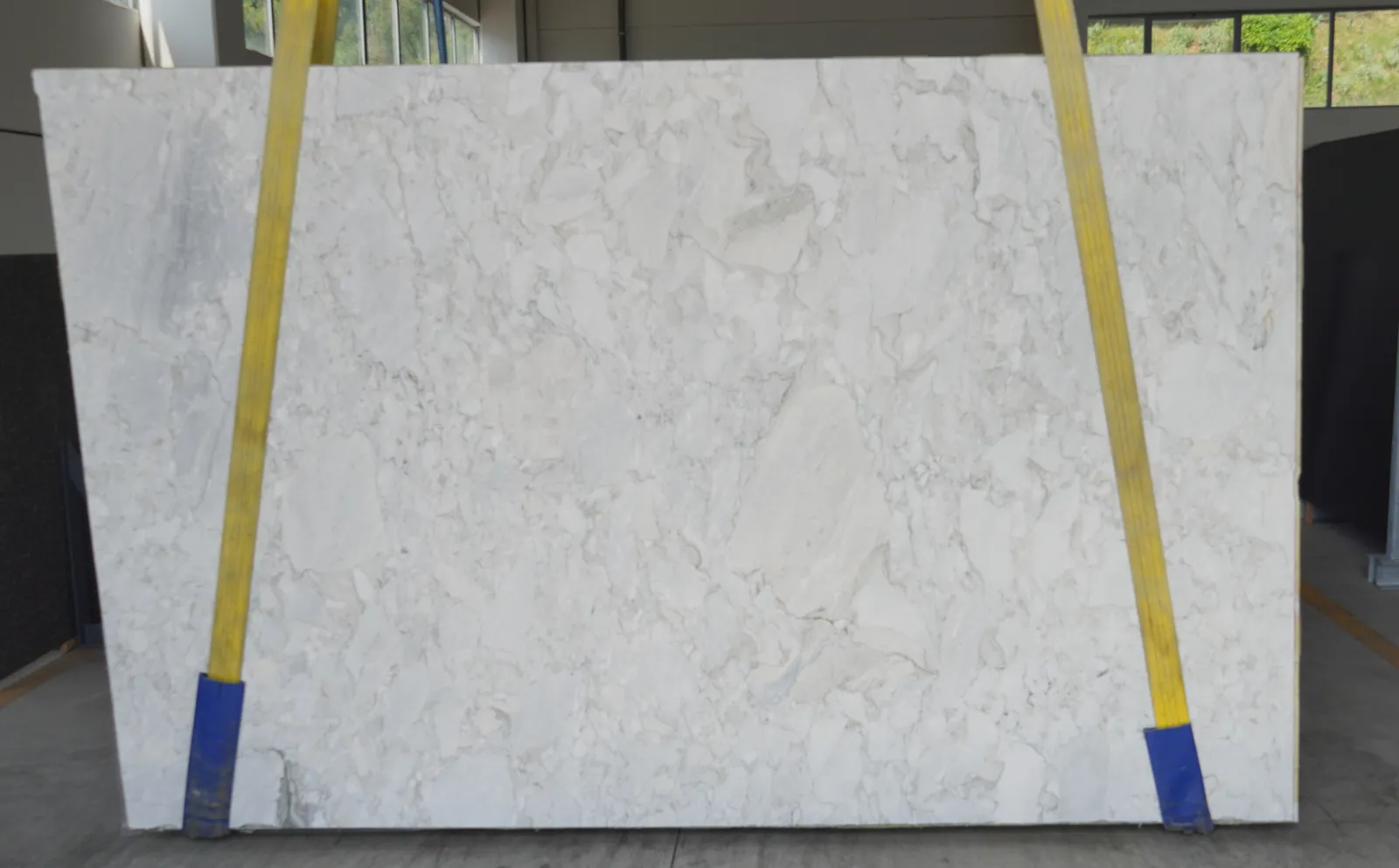 Arabescato Ceppo Vagli Light Marble Slab in Los Angeles