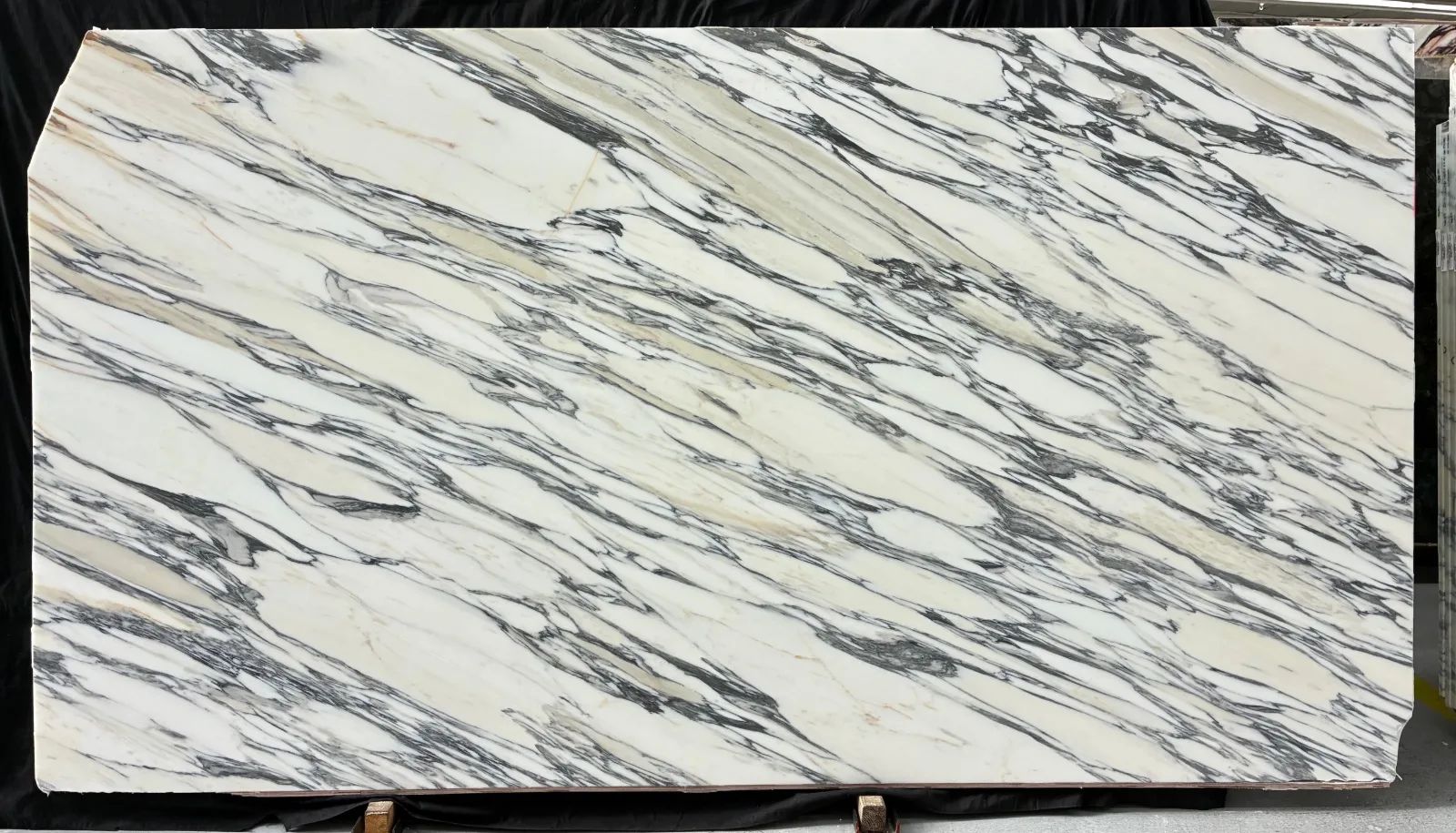 Arabescato Corchia Supreme Marble Slab in Van Nuys, Los Angeles