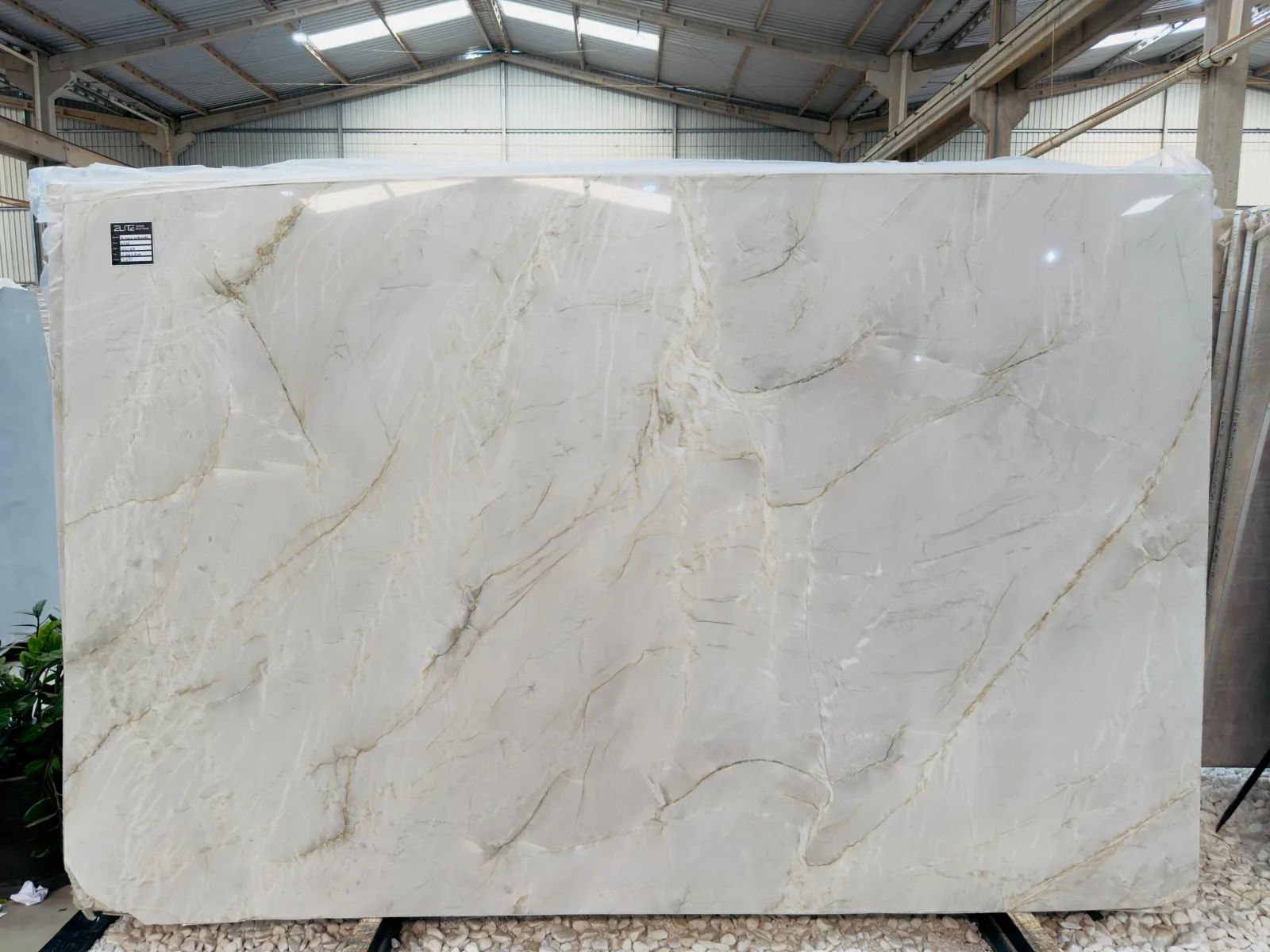 Bianco Pearl Quartzite