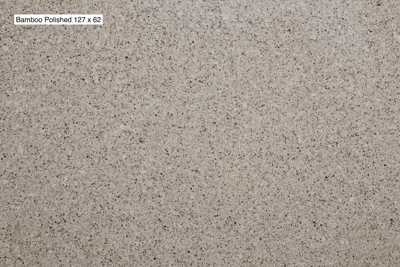 Bamboo Quartz Slab Photo 2
