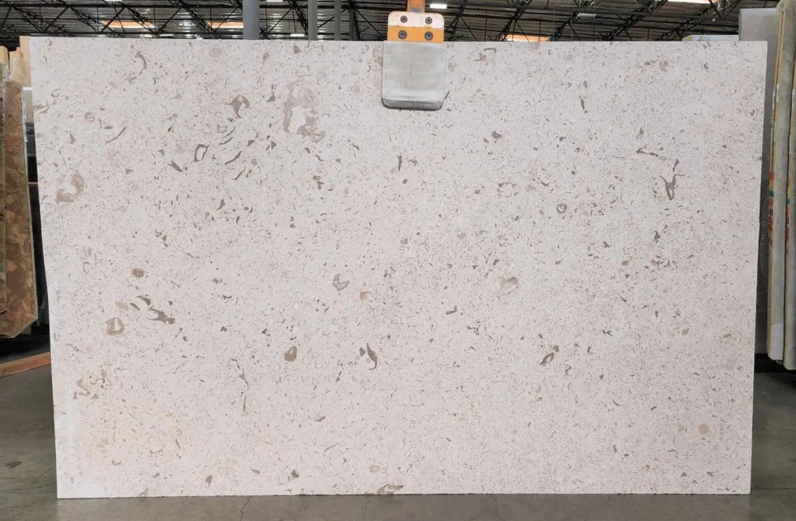 Fossil Limestone Slab in Sun Valley, Los Angeles