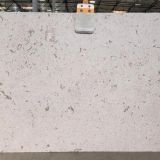 Fossil Limestone