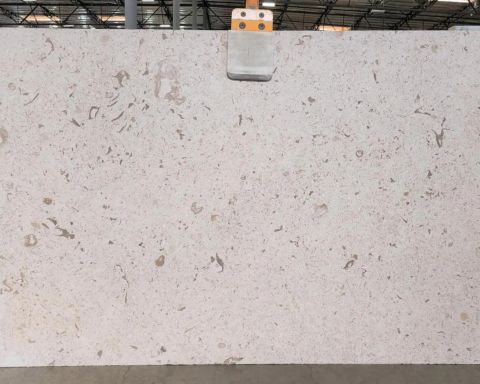Fossil Limestone Slab in Sun Valley, Los Angeles
