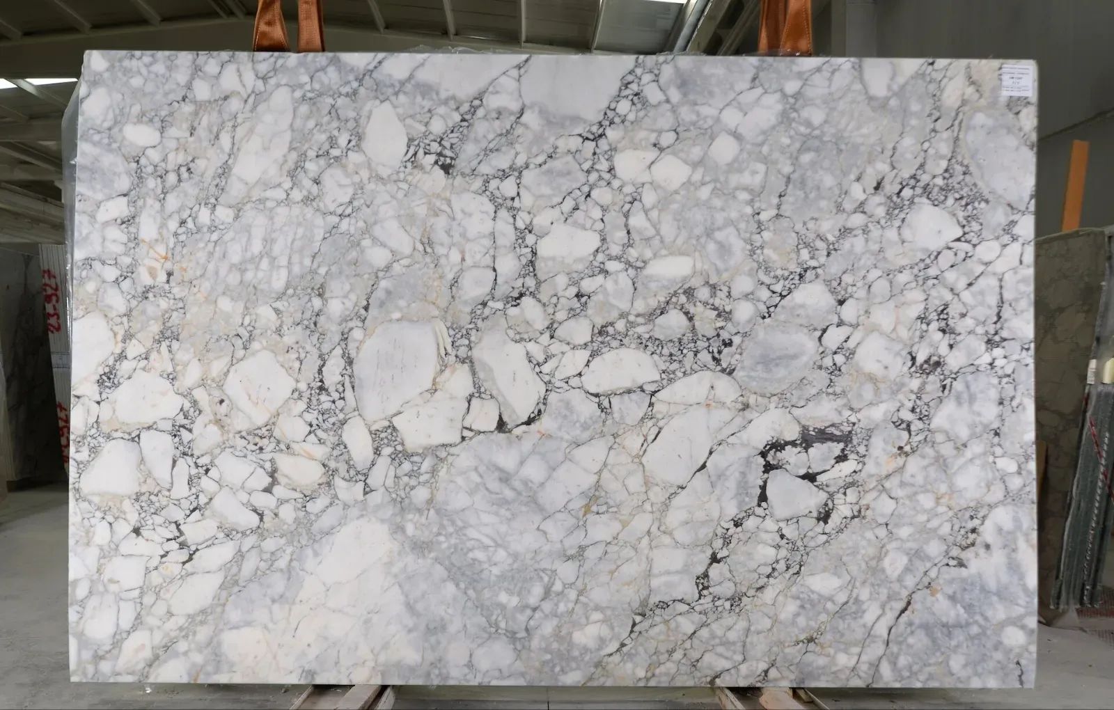 Calacatta Monet Viola Marble Slab in Sun Valley, Los Angeles
