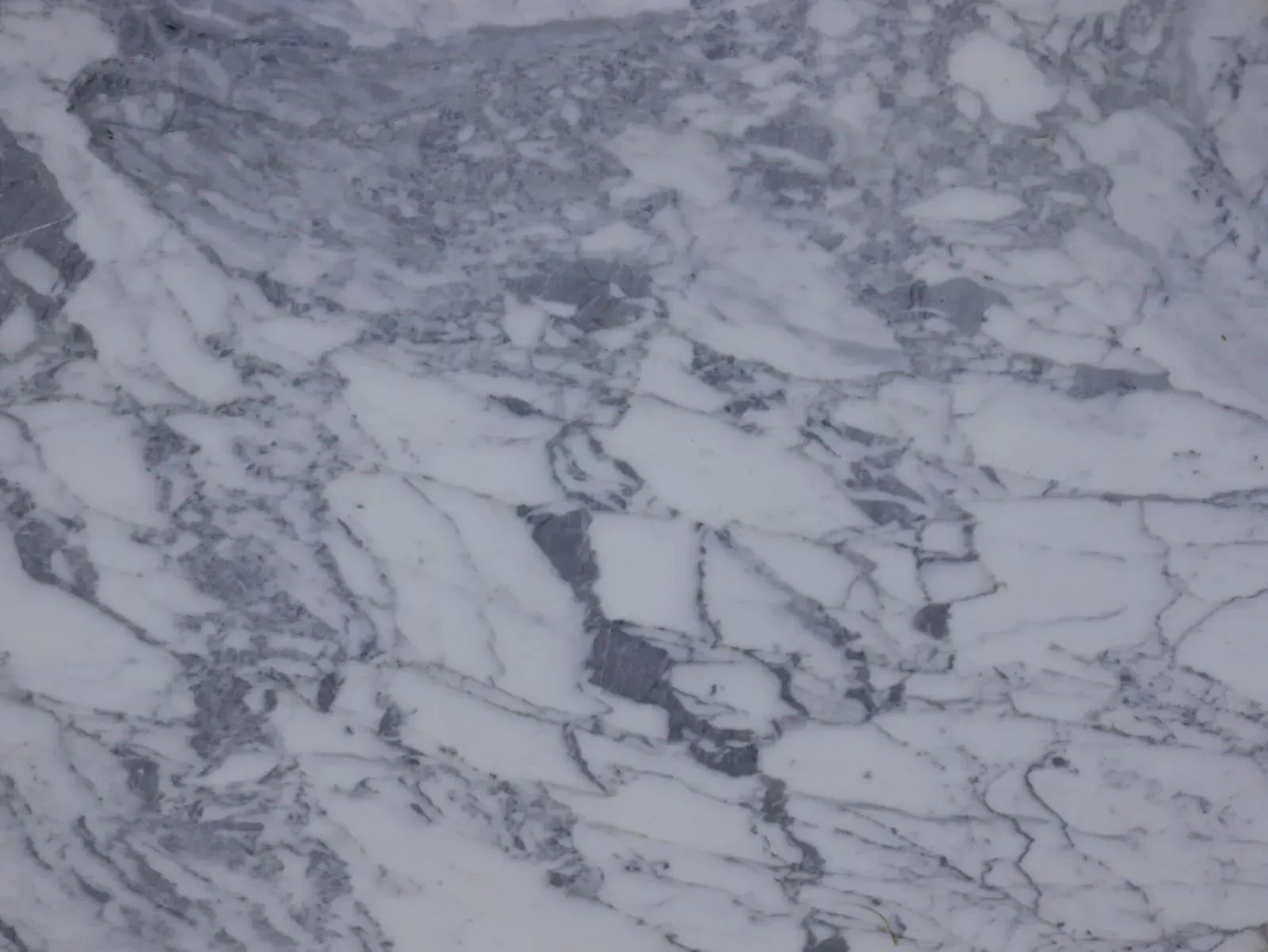 Calacatta Cremo Marble Remnant in Sun Valley, Los Angeles