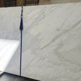 Calacatta Oro Betogli Marble