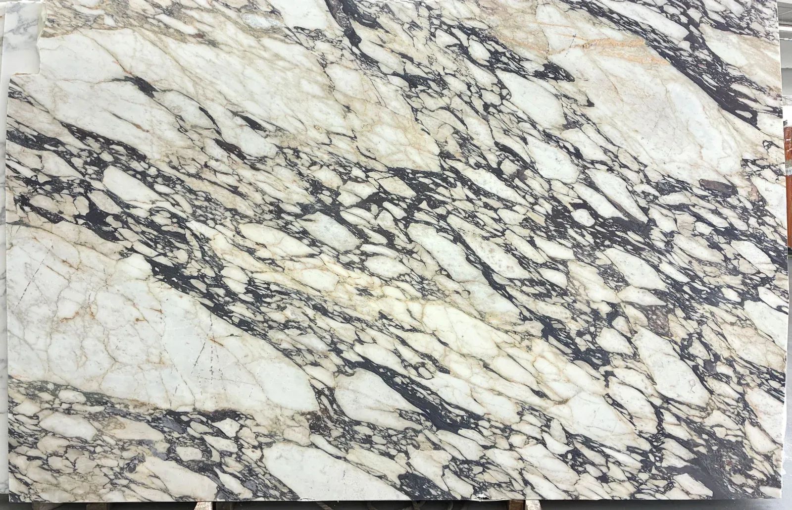 Calacatta Viola Grand Marble Slab in Van Nuys, Los Angeles
