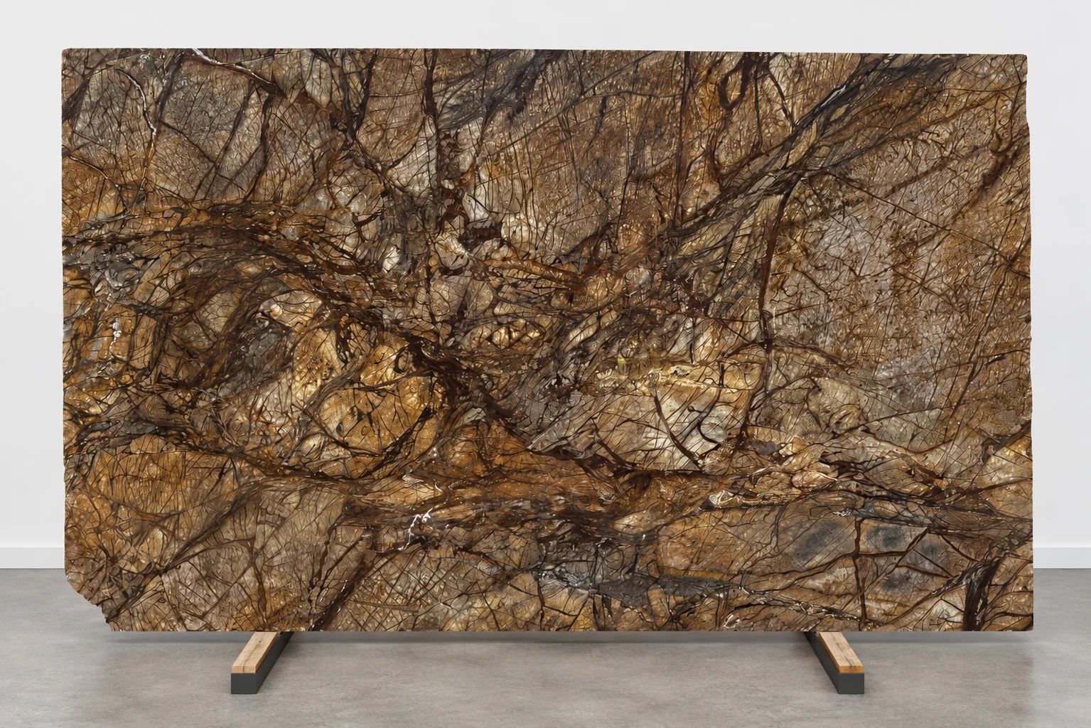 Rainforest Brown Marble Slab in Santa Clarita