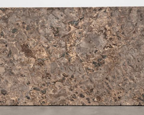 Petrified Ember Marble Slab in Santa Clarita