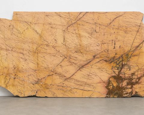 Breche De Tolouse Marble Slab in Santa Clarita