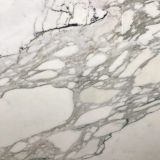 Calacatta Macchia Vecchia Classic Marble