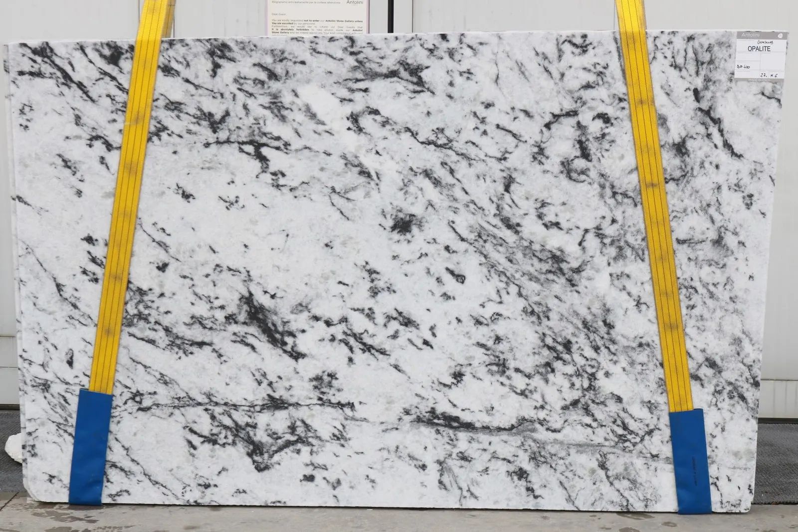 Opalite Quartzite Slab Photo 2