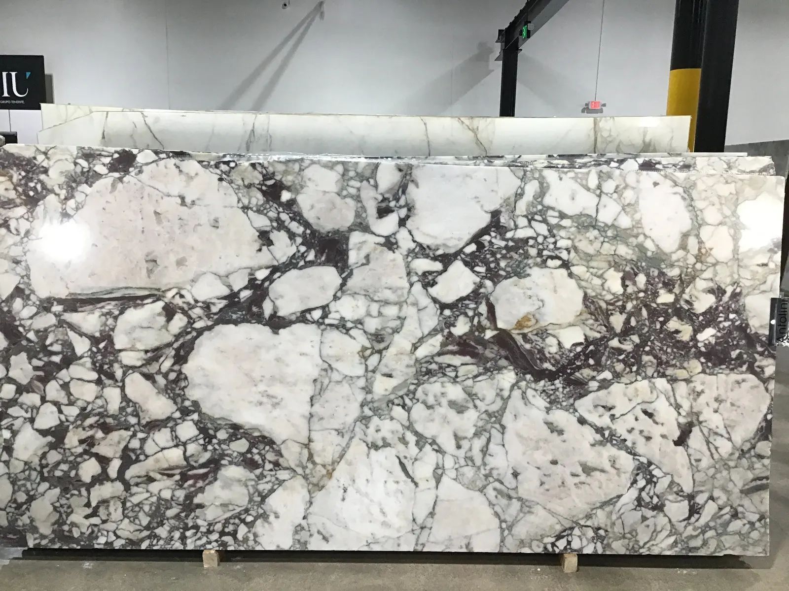 Calacatta Viola Extra Marble