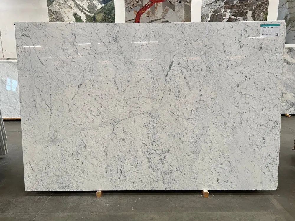 Bianco Gioia Extra Marble Slab Photo 2