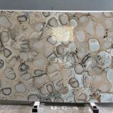 Turtle Bronze Marble