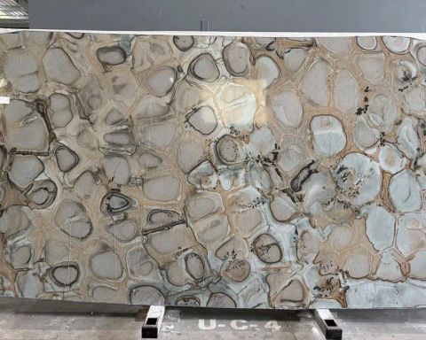 Turtle Bronze Marble Slab in North Hollywood, Los Angeles